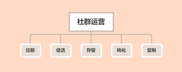 社群活动策划与执行全攻略，提升成员互动体验实战指南