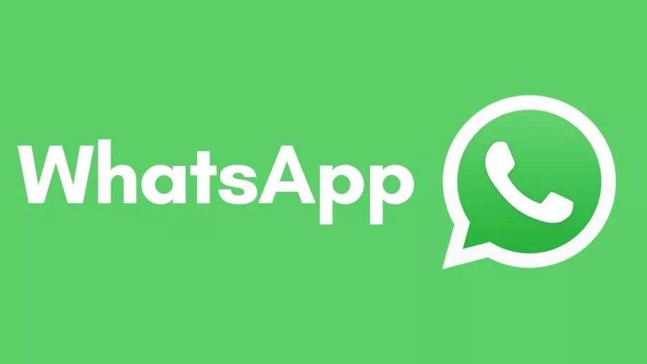 优化WhatsApp多媒体文件传输技巧，提升资料分享效率秘籍